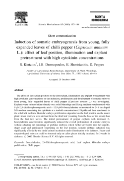 Induction of somatic embryogenesis from young, fully expanded