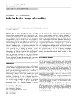 Collective decision through self-assembling