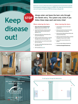 Danish Entry System Poster