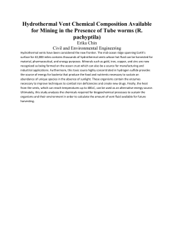 Hydrothermal Vent Chemical Composition Available for Mining in