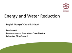 DynamatLite Usage - Leicester City Council