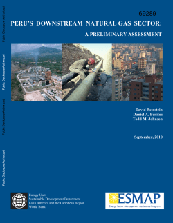 peru`s downstream natural gas sector