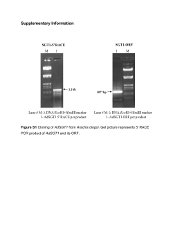 Supplementary Information