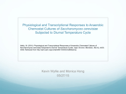 Physiological and Transcriptional Responses to