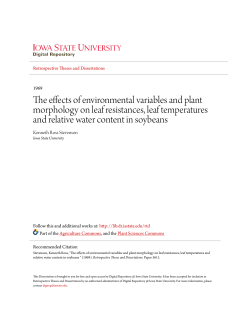 The effects of environmental variables and plant morphology on leaf