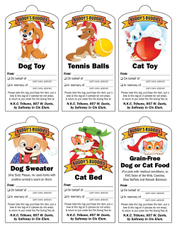 Tennis Balls Cat Toy Dog Toy Cat Bed