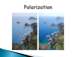 Polarization