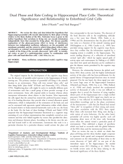 Dual phase and rate coding in hippocampal place cells: Theoretical