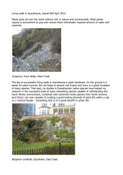 Living walls in Scandinavia, Daniel Bell April 2013. Plants grow all