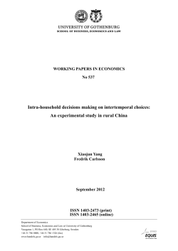 Intra-household decisions making on intertemporal choices