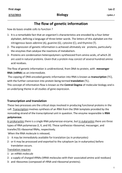 Transcription and translation