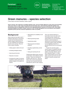 Green manures – species selection