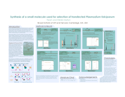 Synthesis of a small molecule used for selection of transfected