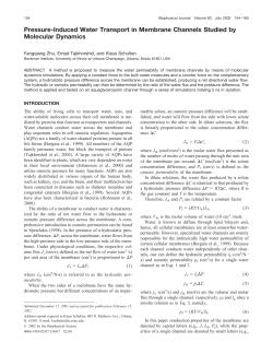 Pressure-Induced Water Transport in Membrane Channels Studied