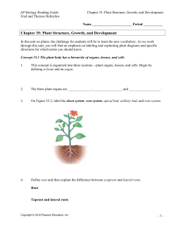 Chapter 35: Plant Structure, Growth, and
