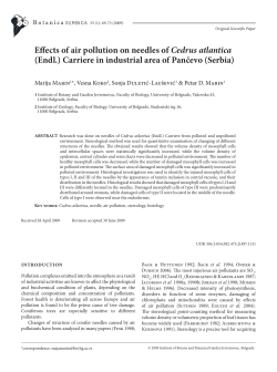 Effects of air pollution on needles of Cedrus