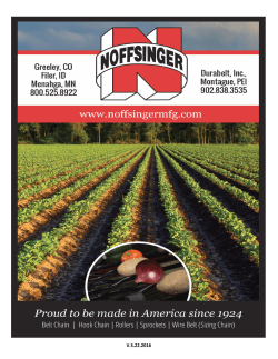 Copy of Belted Chain - Noffsinger Manufacturing