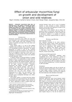 Preparation and submission of extended ab