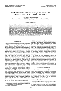 AMMONIA OXIDATION AT LOW pH BY ATTACHED