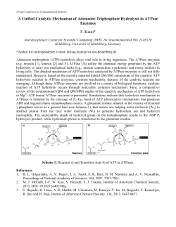 A Unified Catalytic Mechanism of Adenosine Triphosphate