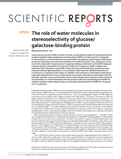 The role of water molecules in stereoselectivity of glucose