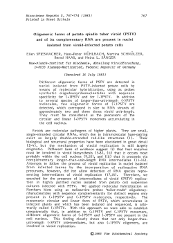 (PSTV) and of its complementary RNA are present in nuclei isolated