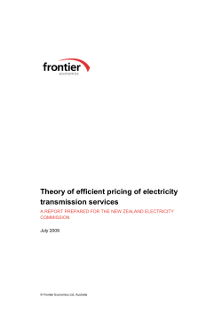 Theory of efficient pricing of electricity transmission services