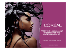 profit and loss account by destination and segment