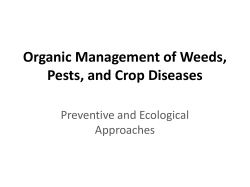 Organic Control of Weeds, Pests, and Crop Diseases