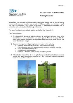 dedicated tree - Stockton Council
