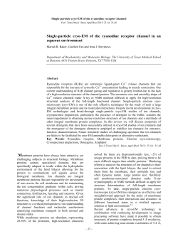 Single-particle cryo-EM of the ryanodine receptor channel in an