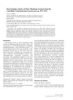 Pore-Forming Activity of Outer Membrane Extracts from