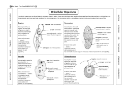 Biology: Unicellular organisms
