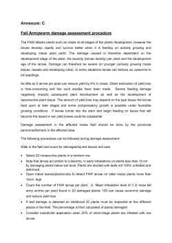 FAW Damage assessment form - Department of Agriculture, Forestry