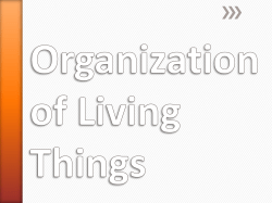 Organization of Living Things