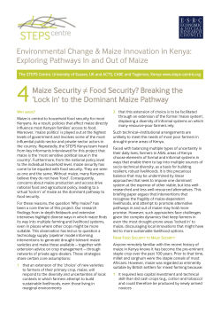 Maize Security does not equal Food Security?