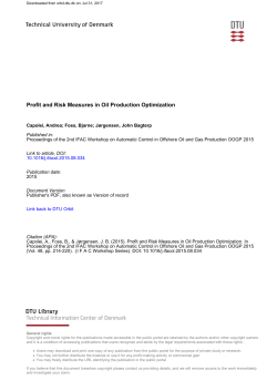 Profit and Risk Measures in Oil Production Optimization
