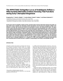 The IMMUTANS Variegation Locus of Arabidopsis