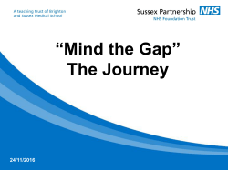 Case Study 3 Miguel Gomez - Mind the Gap SPFT