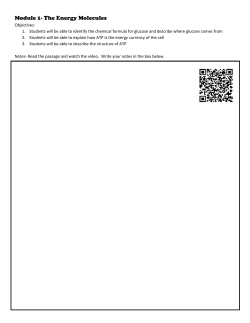 Module 1- The Energy Molecules Objectives: Students will be able