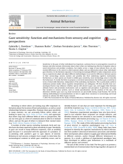 Gaze sensitivity - Wild Cognition Research
