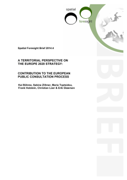 a territorial perspective on the europe 2020 strategy: contribution to