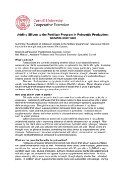 Adding Silicon to the Fertilizer Program in Poinsettia Production