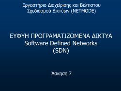DNS Lab Exercise