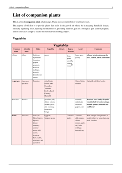 List of companion plants - SouthWood Community Garden