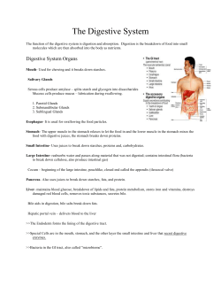 Digestive