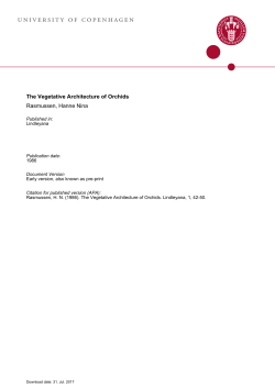 The Vegetative Architecture of Orchids