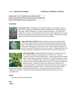 Aspen Pest Complex