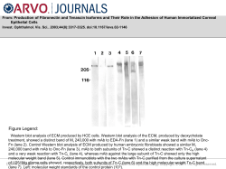 Slide 1 - ARVO Journals