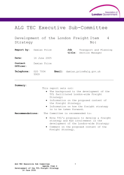 ALG Transport and Environment Executive Sub